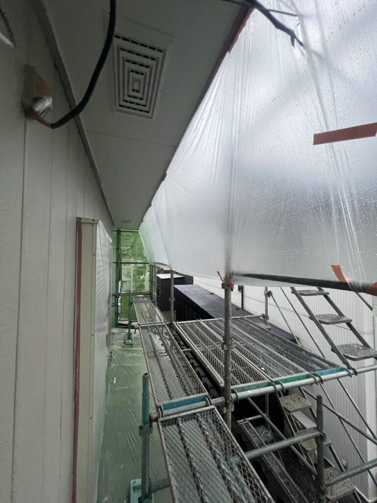 昨日の雨から…。